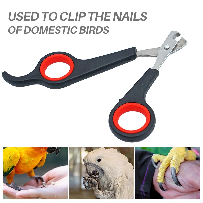 Ножницы для стрижки когтей дом – обзор и цена Grooming Scissors