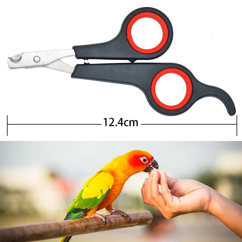 Ножницы для стрижки когтей дом – обзор и цена Grooming Scissors